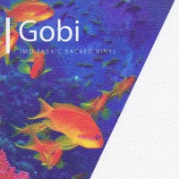 Gobi